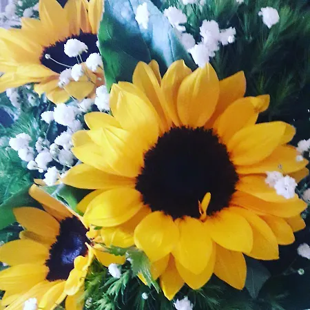 Casa Il Girasole Сasa de vacaciones